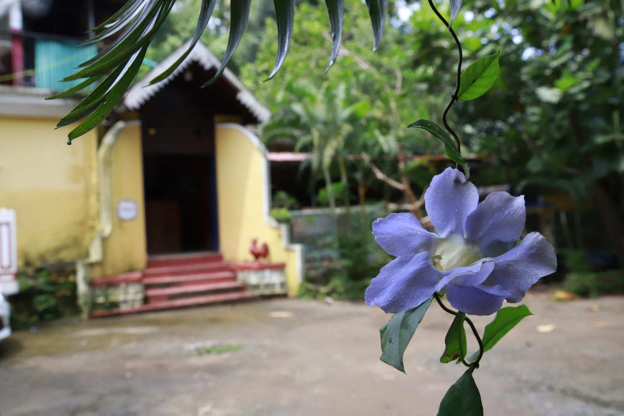 Phoenix Castle House Palolem Canacona Eksteriør bilde